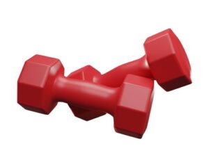 What Are The Best Dumbbell Workout For Deltoids?