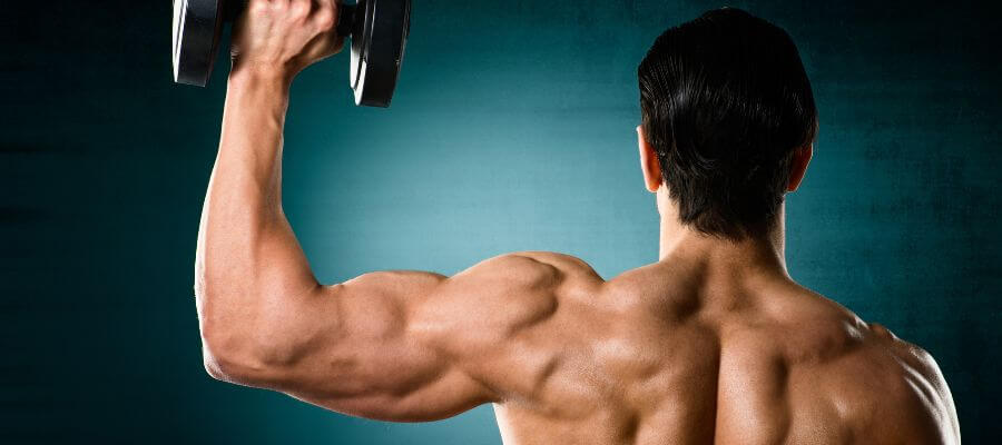 Which Are The Best Exercise For Shoulders